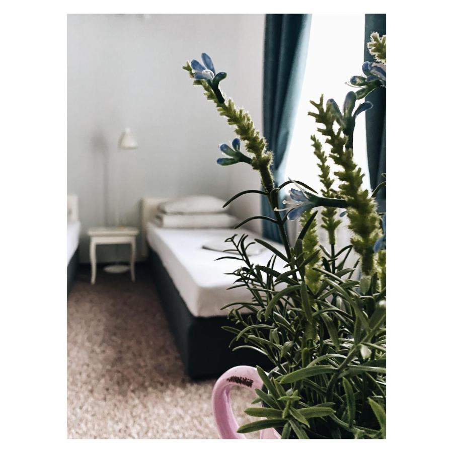 Pastel Guest Rooms 华沙 外观 照片